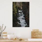 Rapide in BC Poster (Küche)