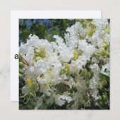 Raps Myrte Tree Nah Einladung (Vorne/Hinten)