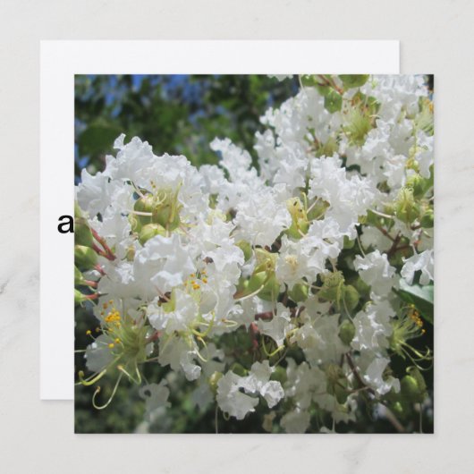 Raps Myrte Tree Nah Einladung (Vorne/Hinten)