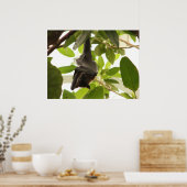 Raps Obstschale Poster (Küche)