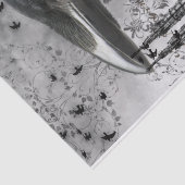 Raps Seidenpapier (Detail)