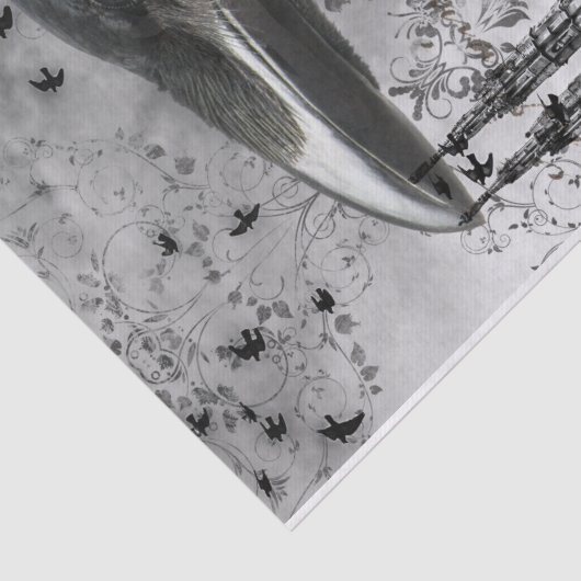 Raps Seidenpapier (Detail)