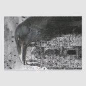 Raps Seidenpapier (Vorderseite)