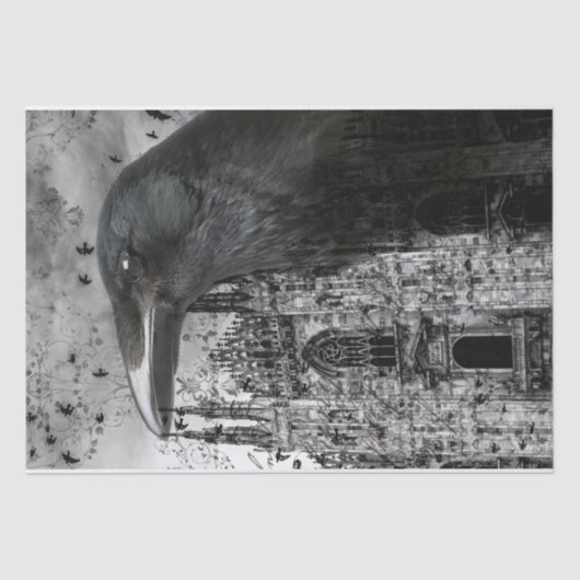 Raps Seidenpapier (Vorderseite)