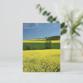 Rapsfeld bei Bavenhausen, Deutschland Postkarte (Stehend Vorderseite)