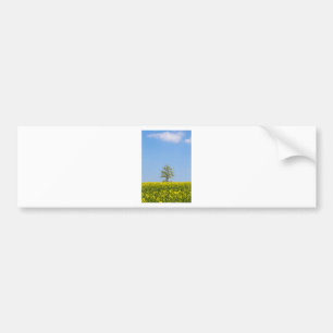 Rapsfeld mit Apfelbaum und blauem Himmel Autoaufkleber