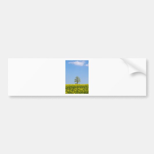 Rapsfeld mit Apfelbaum und blauem Himmel Autoaufkleber (Vorne)