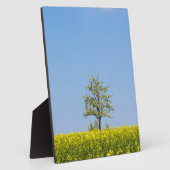 Rapsfeld mit Apfelbaum und blauem Himmel Fotoplatte (Seite)