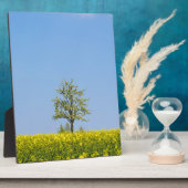 Rapsfeld mit Apfelbaum und blauem Himmel Fotoplatte (Seite)