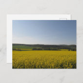 Rapsfeld Postkarte (Vorne/Hinten)