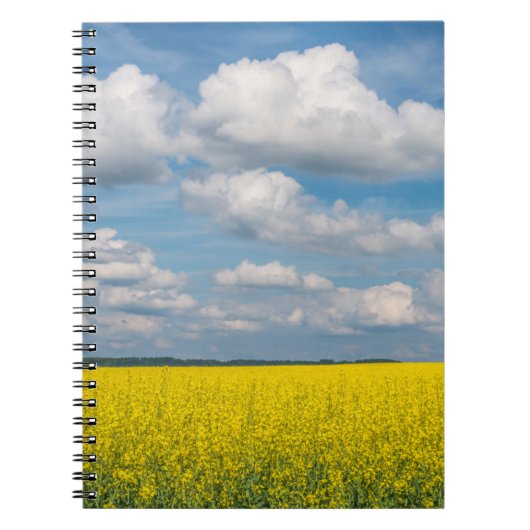 Rapsfeld & Wolken Notizblock (Vorderseite)