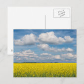 Rapsfeld & Wolken Postkarte (Vorne/Hinten)