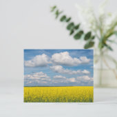 Rapsfeld & Wolken Postkarte (Stehend Vorderseite)
