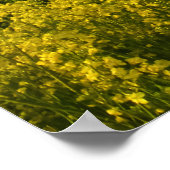 Rapsfelder umkreisen den Wald - Personalisiert Poster (Ecke)