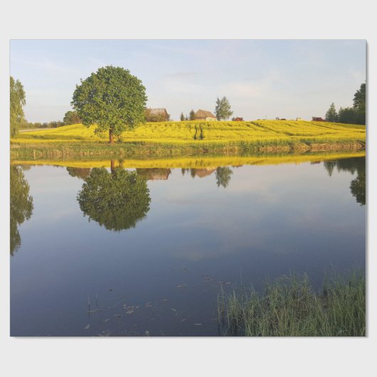 Rapssamenfeld Geschenkpapier (Flach)