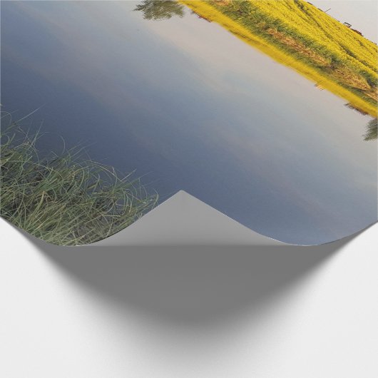 Rapssamenfeld Geschenkpapier (Ecke)