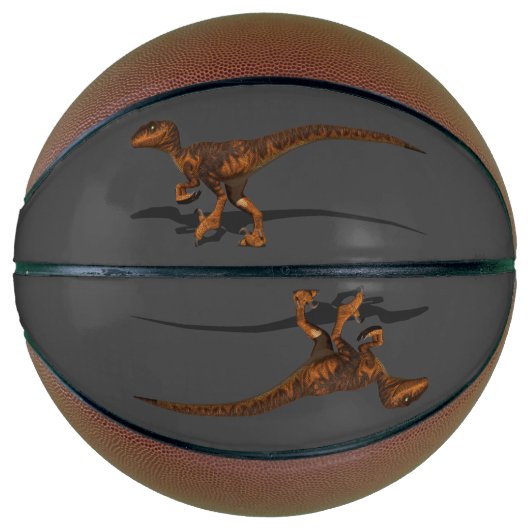 Raptor 1 3D Basketball (Vorderseite)