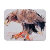 Raptor 2001 magnet (Horizontal)