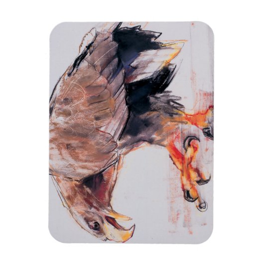 Raptor 2001 magnet (Vertikal)