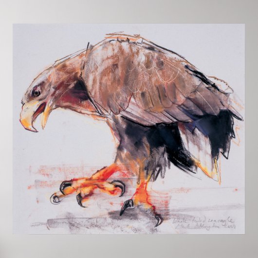 Raptor 2001 poster (Vorne)