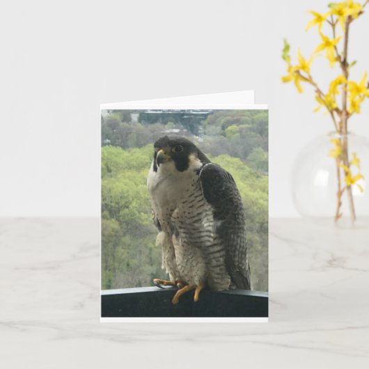 Raptor Karte (Gelbe Blume)