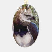 ‚Raptor‘ Keramik Ornament (Links)