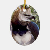 ‚Raptor‘ Keramik Ornament (Vorne)