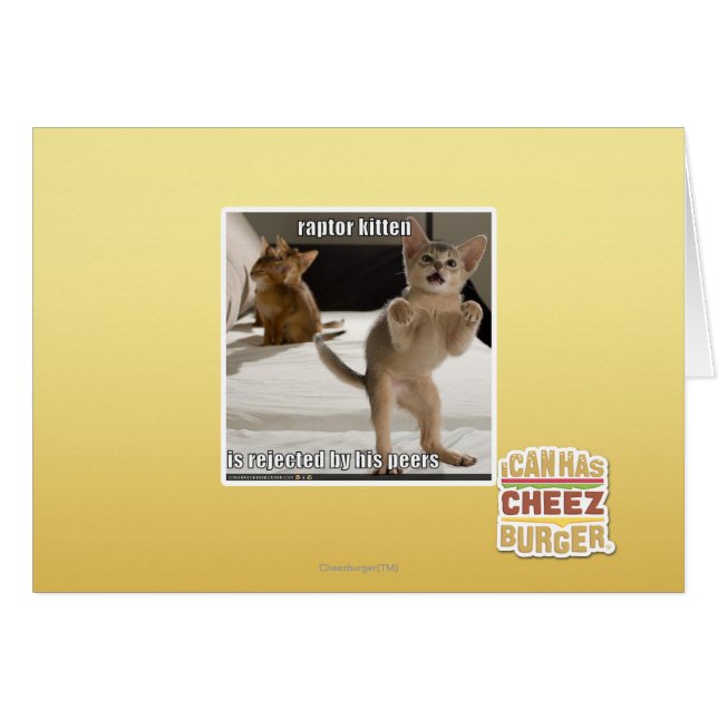Raptor Kitten (Vorderseite (Horizontal))