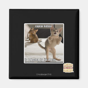 Raptor Kitten Magnet