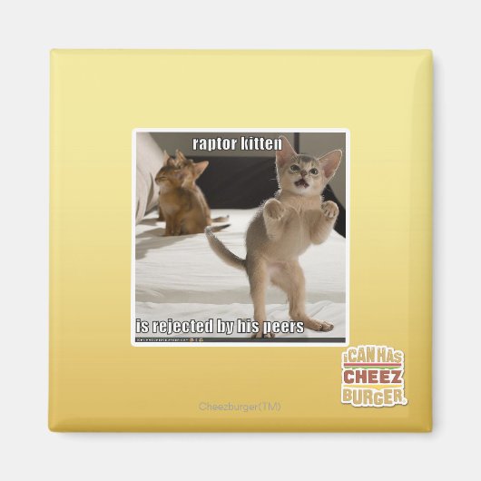 Raptor Kitten Magnet (Vorne)