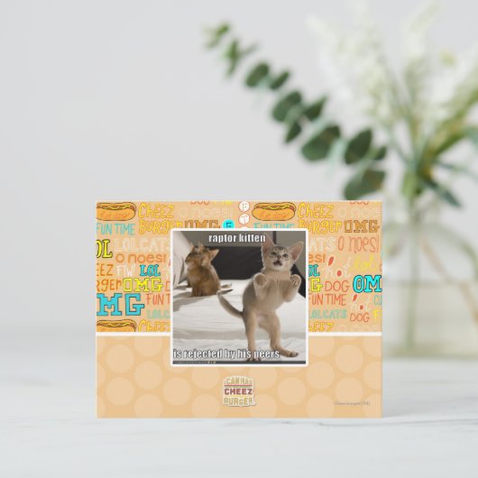 Raptor Kitten Postkarte (Stehend Vorderseite)