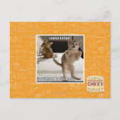 Raptor Kitten Postkarte (Vorderseite)
