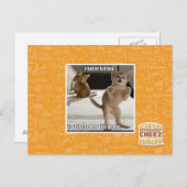 Raptor Kitten Postkarte (Vorne/Hinten)