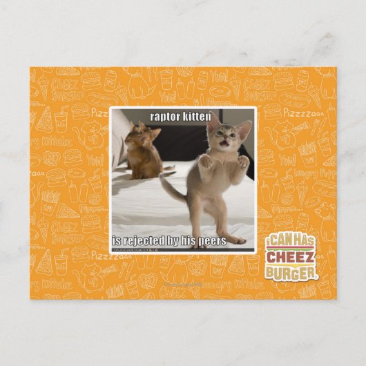 Raptor Kitten Postkarte (Vorderseite)