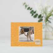 Raptor Kitten Postkarte (Stehend Vorderseite)