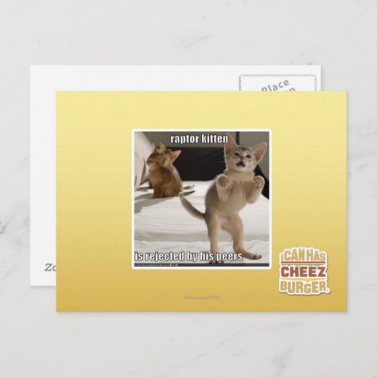 Raptor Kitten Postkarte (Vorne/Hinten)