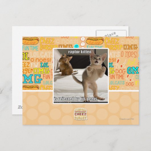 Raptor Kitten Postkarte (Vorne/Hinten)