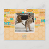 Raptor Kitten Postkarte (Vorderseite)