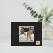 Raptor Kitten Postkarte (Stehend Vorderseite)