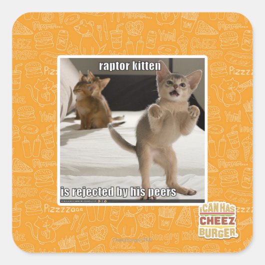 Raptor Kitten Quadratischer Aufkleber (Vorderseite)