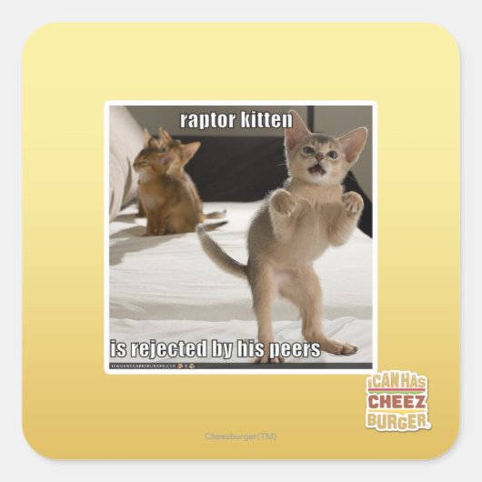 Raptor Kitten Quadratischer Aufkleber (Vorderseite)