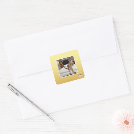 Raptor Kitten Quadratischer Aufkleber (Umschlag)