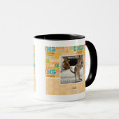 Raptor Kitten Tasse (VorderseiteRechts)