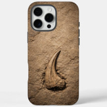 Raptor-Klauenfossil