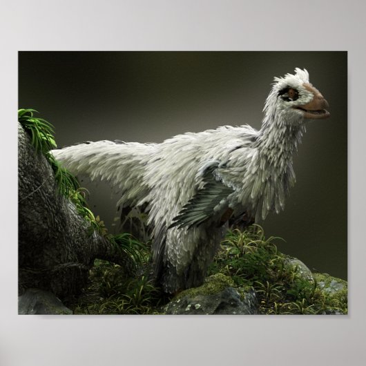 Raptor mit Federn Poster (Vorne)