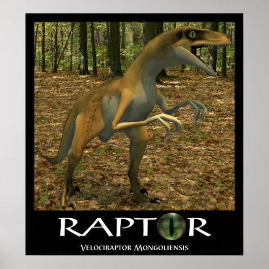 Raptor Poster (Vorne)