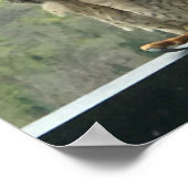 Raptor Poster (Ecke)