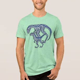 Raptor-Shirt Tri-Blend Shirt