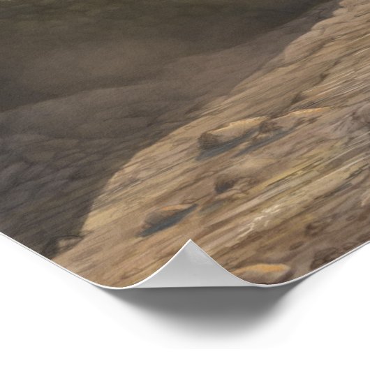 Raptor Tracks Print Poster (Ecke)