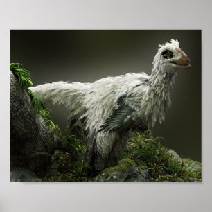 Raptor with feathers poster